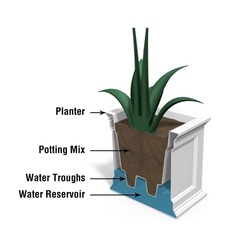 Winston Porter Anastasiya 20"x36" Resin Planter with Water Reservoir