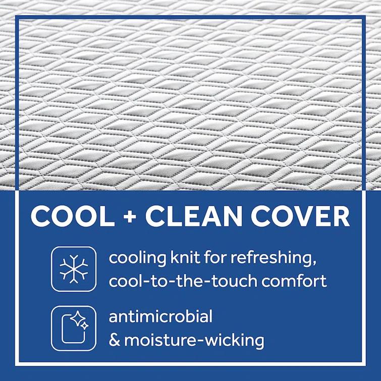 Northlight Seasonal Northlight Seasonal 10 Mattress
