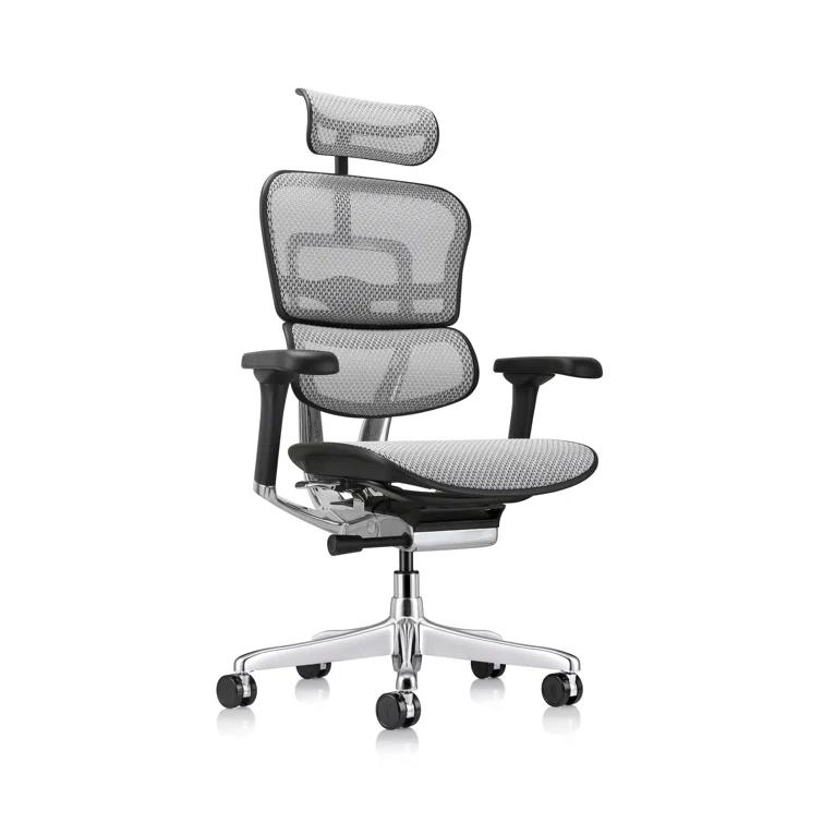 Eurotech Seating Ergohuman Executive Chair with Headrest