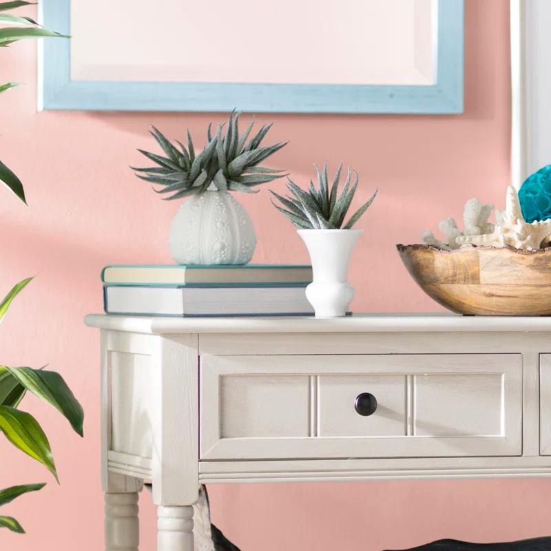 Primrue 6.5'' Faux Aloe Plant (Set of 3)