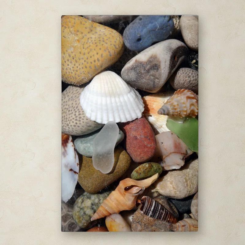 Trademark Fine Art "PetoskeyStones lV" by Michelle Calkins Photographic Print on Wrapped Canvas