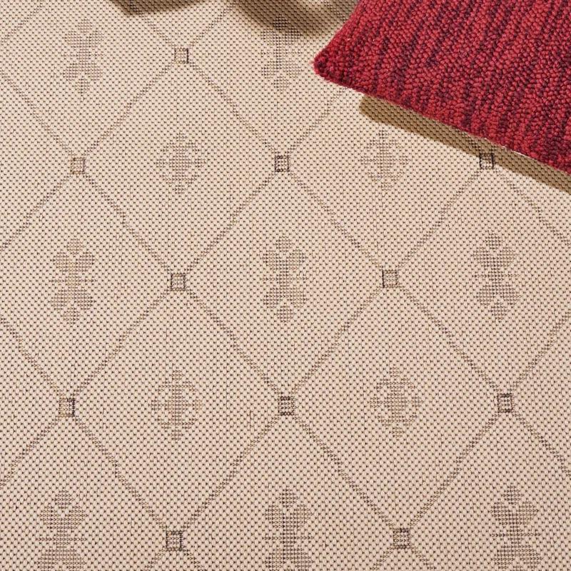 Safavieh Performance Oriental Rug