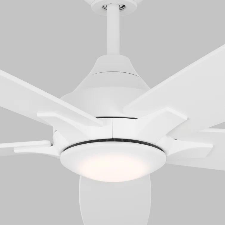 Birch Lane™ Lise 60'' Ceiling Fan with LED Lights