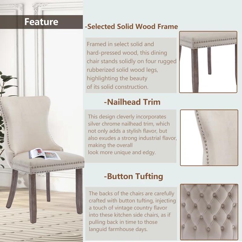 Rosdorf Park Velvet Kitchen Upholstered Dining Chair (Set of 4)