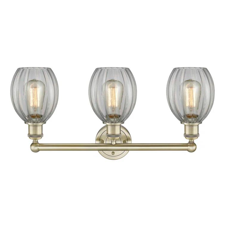 Beachcrest Home™ Bolduc 3 - Light Dimmable Vanity Light