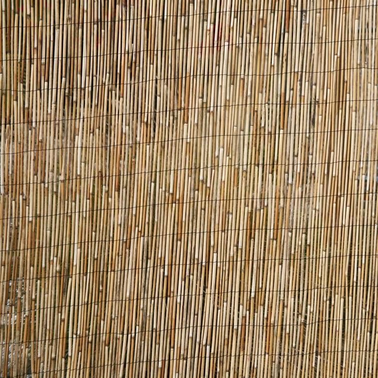 Backyard X-Scapes 6 ft. H x 16 ft. W Natural Jumbo Reed Fence Decorative Garden Fencing Divider