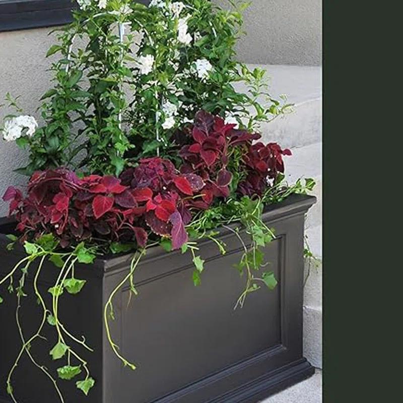 Winston Porter Anastasiya 20"x36" Resin Planter with Water Reservoir