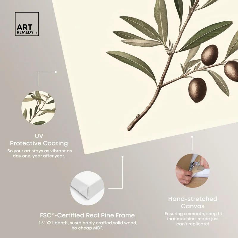 Art Remedy Olive Branch Ballet I Canvas Vintage Botanic Art by Art Remedy | Wayfair