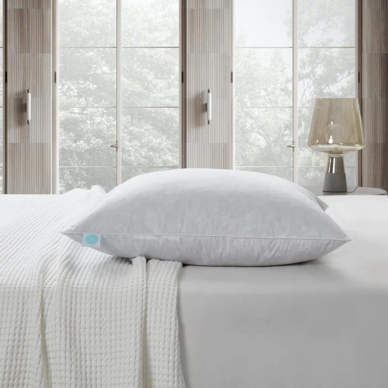Martha Stewart 20X20'' Decorative Feather Pillow Insert (2PK) - Medium Firm (Set of 2)