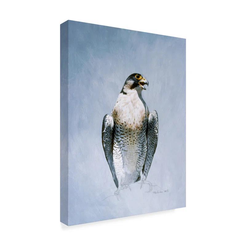 Trademark Fine Art Ron Parker " Peregrine Falcon " by Ron Parker