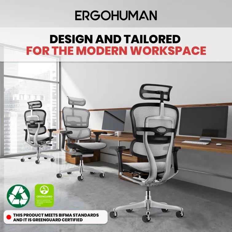 Eurotech Seating Ergohuman Executive Chair with Headrest