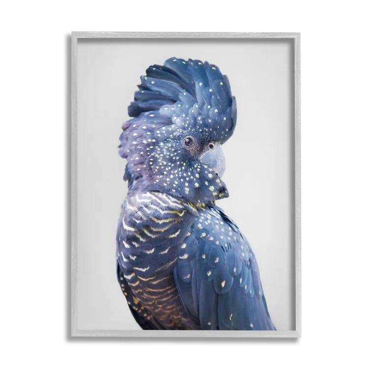 Stupell Industries Grey Cockatoo Portrait Canvas Wall Art Design by Sisi and Seb | Wayfair