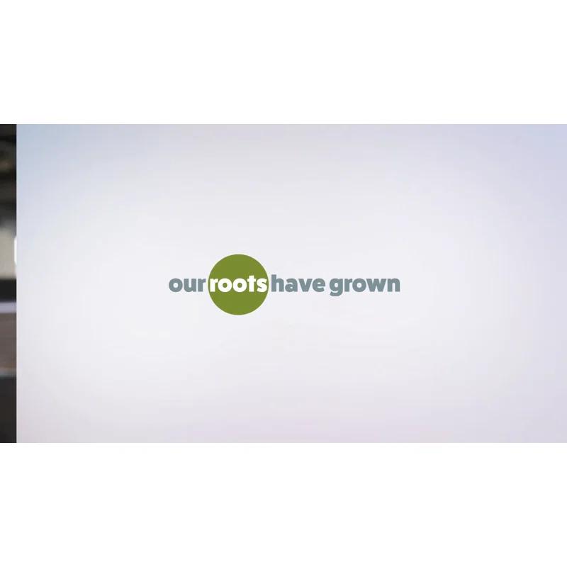 Ekena Millwork Berkshire Thermoformed PVC Ceiling Medallion CMP16BEAGX