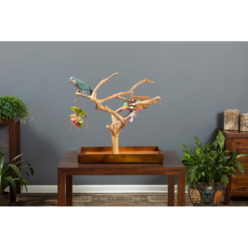 Tucker Murphy Pet™ Freeport One-of-a-Kind 22.5'' Wood Bird Play Stand for Table Top