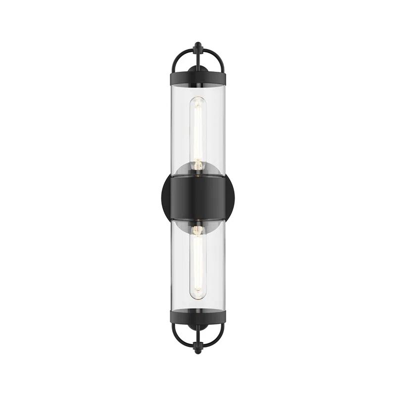 Joss & Main Santi Wall Light