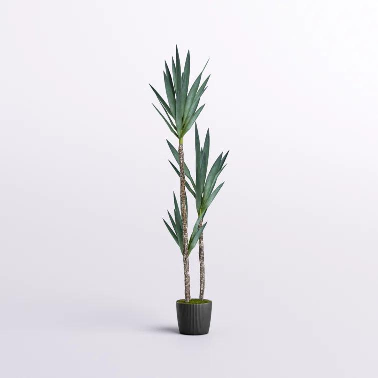 Artificial Green Yucca Tree in Black Planters Pot.