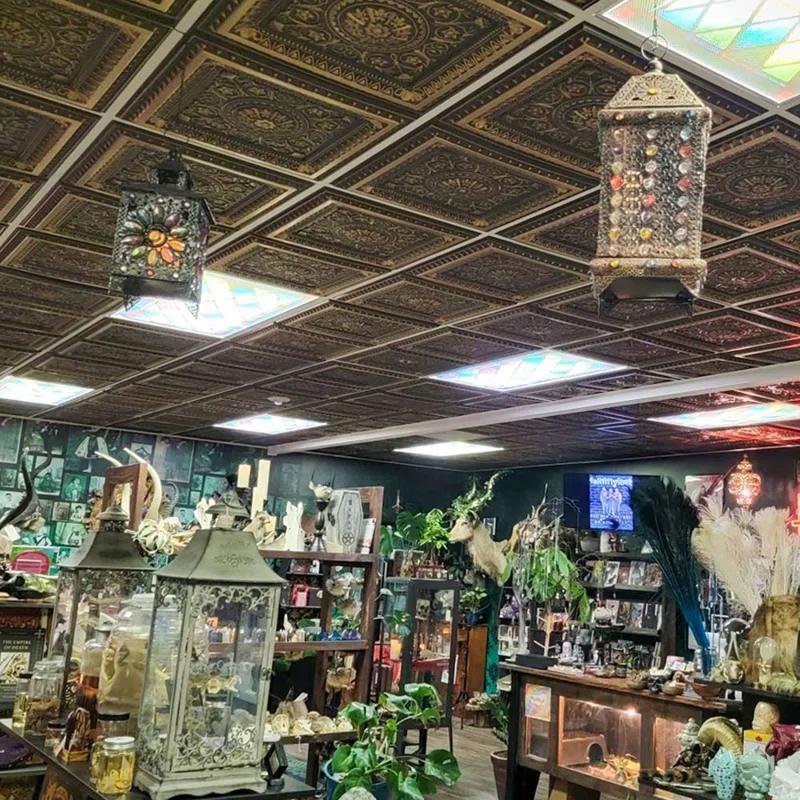 FromPlainToBeautifulInHours Da Vinci 24'' L x 24'' W PVC Drop-In Ceiling Tile In Antique Copper (Set of 50)