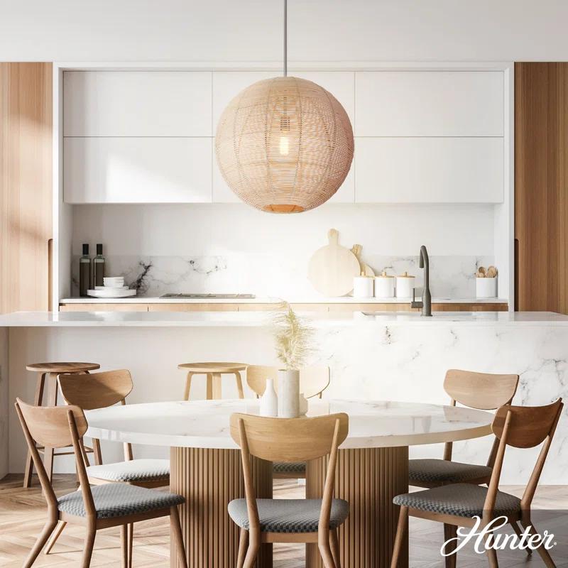 Hunter Fan Hunter Berkeley 1 Light Medium Pendant Ceiling Light Fixture