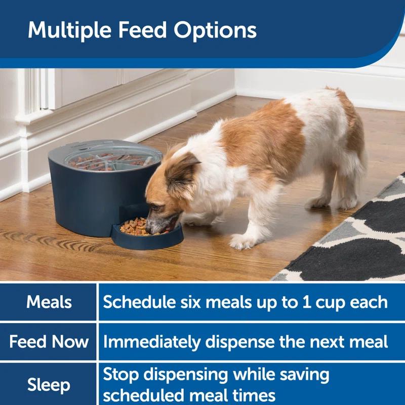 PetSafe® Six Meal Feeder