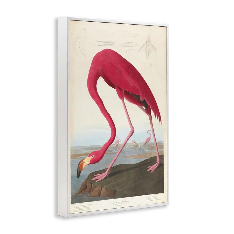 Stupell Industries Classic American Flamingo Framed Giclee Art by one1000paintings