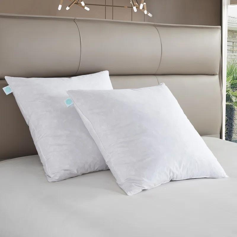 Martha Stewart Martha Stewart 20X20'' Decorative Feather Pillow Insert (2PK) - Medium Firm (Set of 2)
