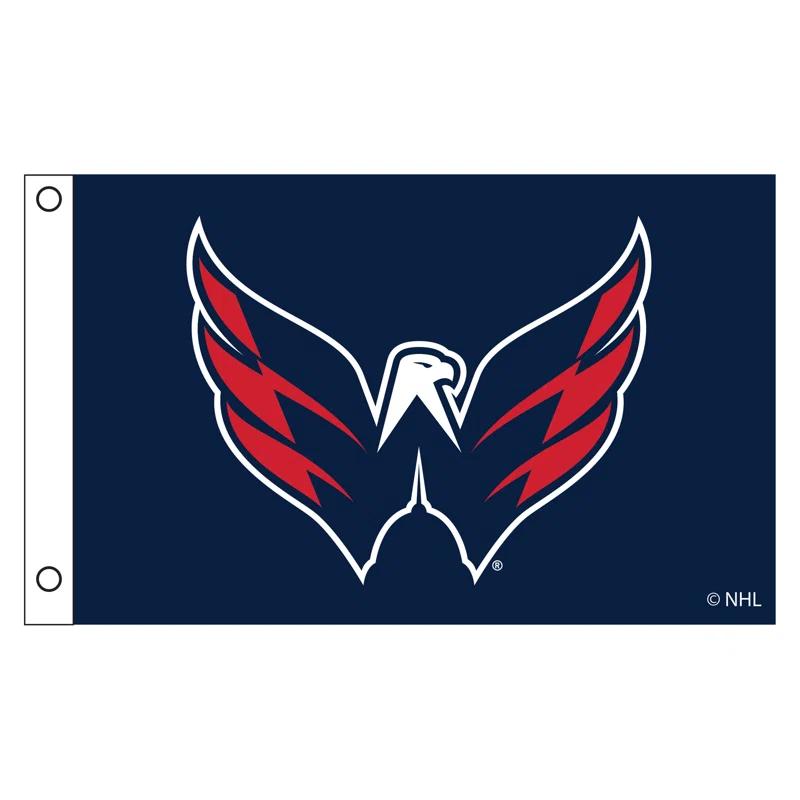 Double Sided 36'' H x 60'' W Polyester House Flag
