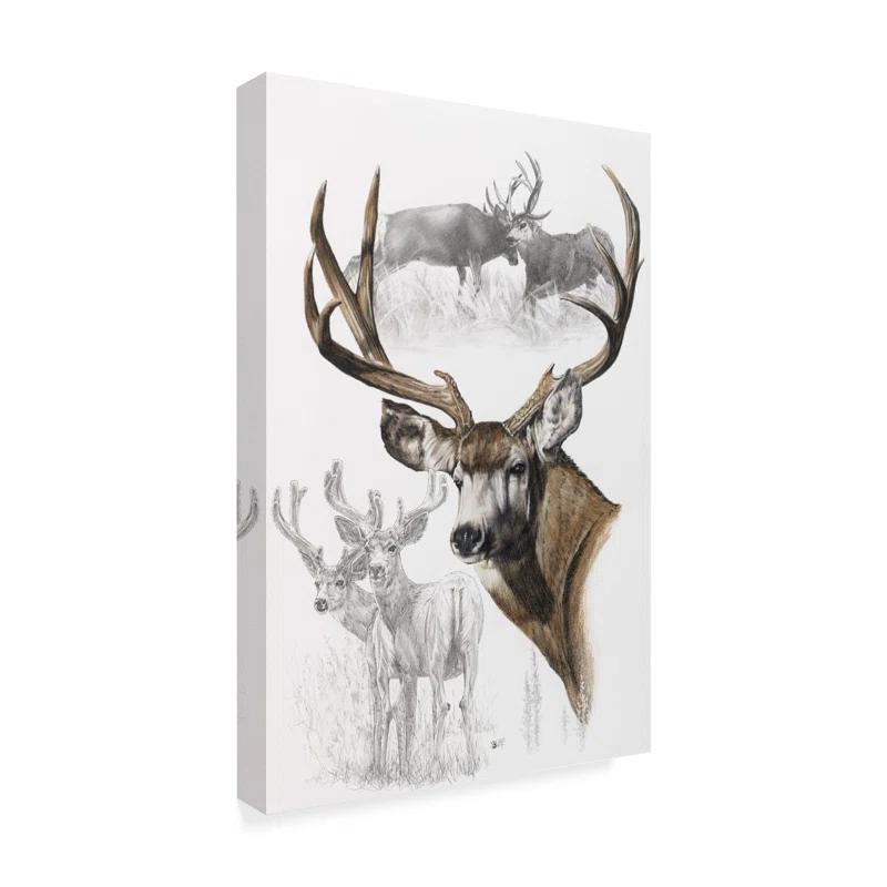 Trademark Fine Art Barbara Keith " Mule Deer " by Barbara Keith
