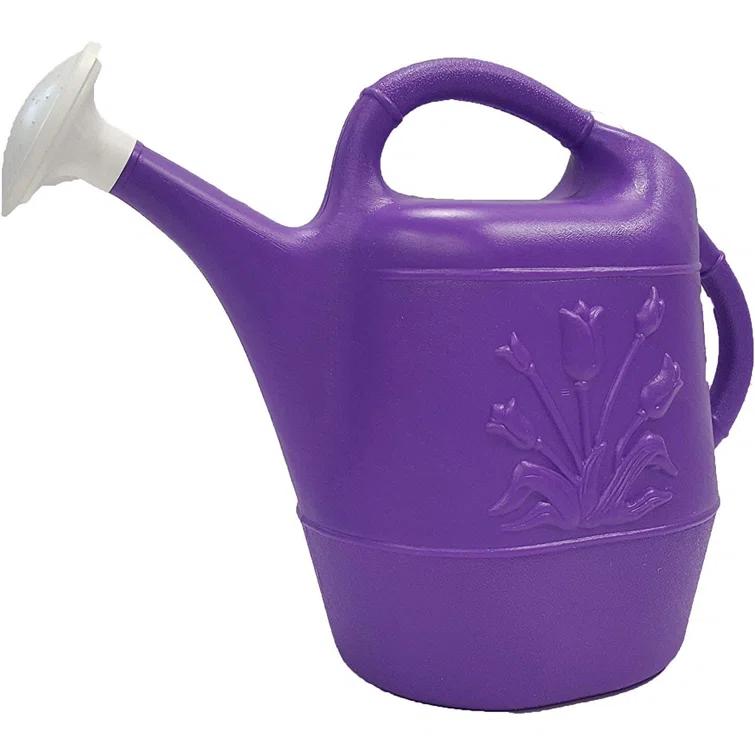PMU PMU 2 Gallon Watering Can - Plastic Water Can with Detachable Sprinkler Head Pkg/1