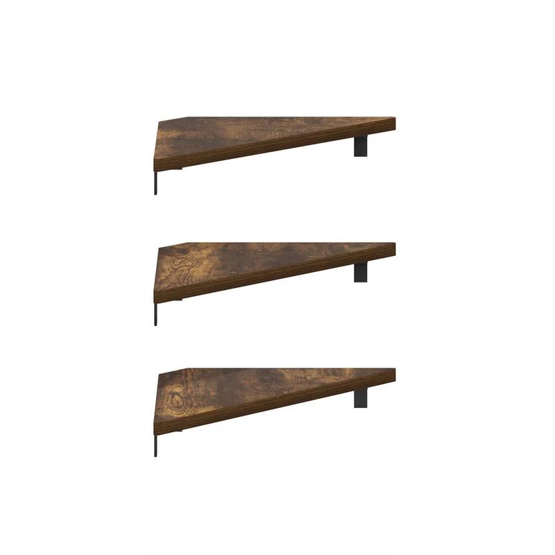 Ebern Designs Belby Triangle Corner Floating Shelves, Wall Mount Display Shelf, Set of 3