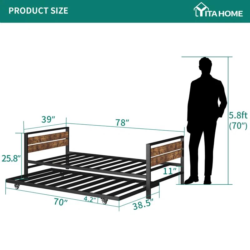 17 Stories Rithvik Daybed with Trundle