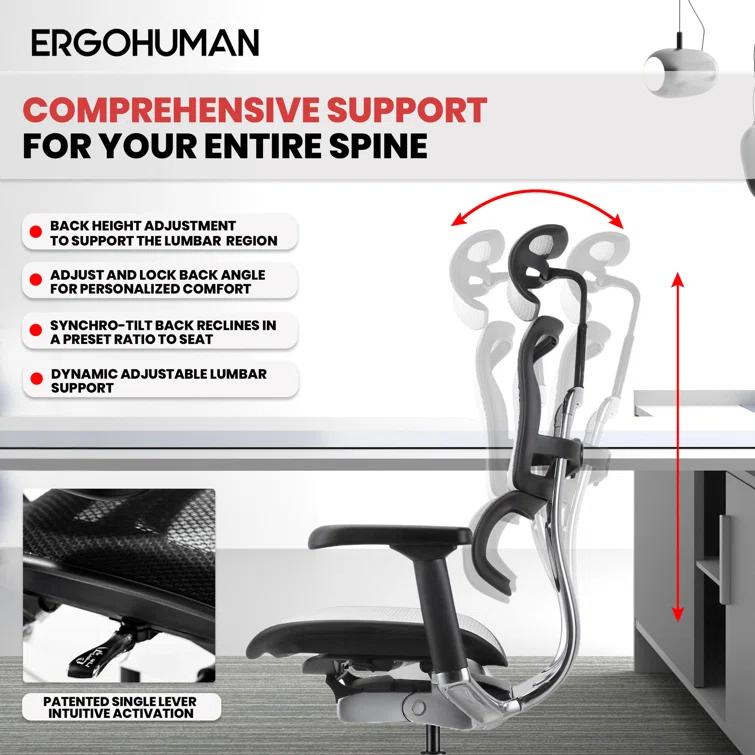 Eurotech Seating Ergohuman Executive Chair with Headrest