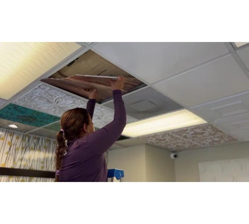 FromPlainToBeautifulInHours Faux Wood Plank Fire Rated Panel 24'' L x 24'' W Textured PVC Drop-In Ceiling Tile (Set of 10)