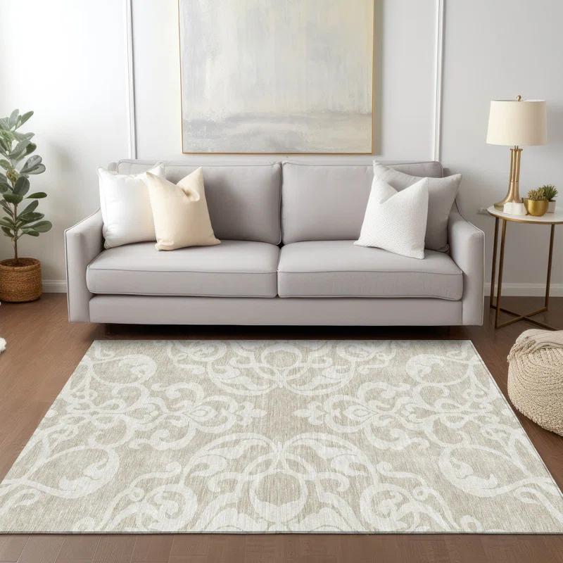Chayden Washable Damask Indoor / Outdoor Rug