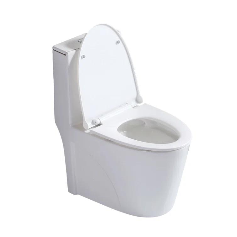 Small Compact One Piece Toilet Dual Flush