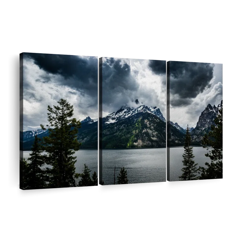 Elephant Stock " Grand Teton National Park II "