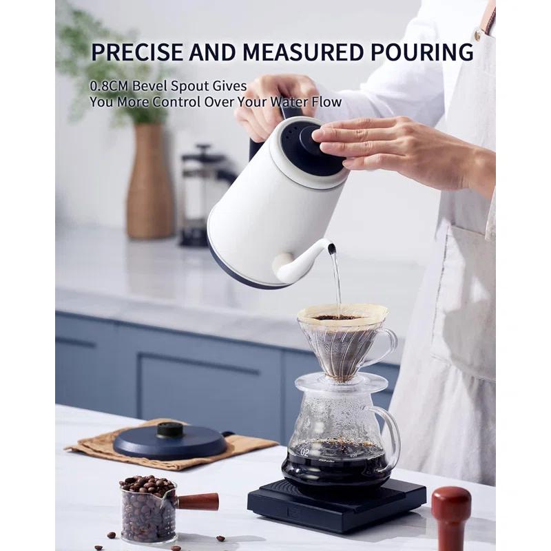 Basowin Gooseneck Electric Kettle(1.0L),1000W Electric Tea Kettle Of 304 Stainless Steel,Auto Shut Off,Coffee Kettle For Pour Over And Tea