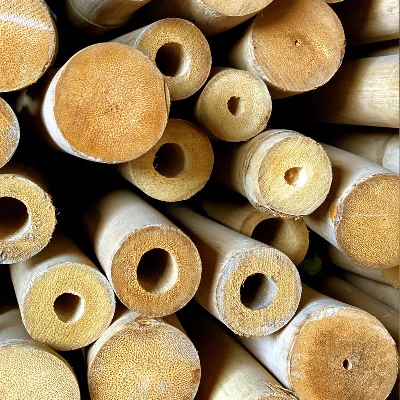 Backyard X-Scapes Solid Bamboo Poles for Structural Design and Weight-bearing Support (Set of 6)