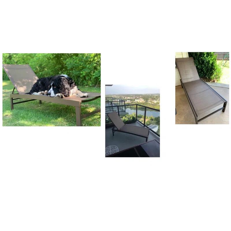 Blevens Outdoor Aluminum Chaise Lounge (Set of 2)