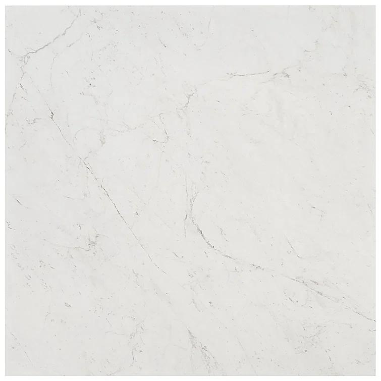 24" x 24" Polished Marble Look Porcelain Floor and Wall Tile (15.5 Sq. Ft. / Case)