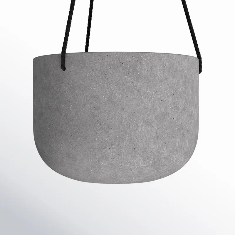AllModern McGrath Hanging Planter