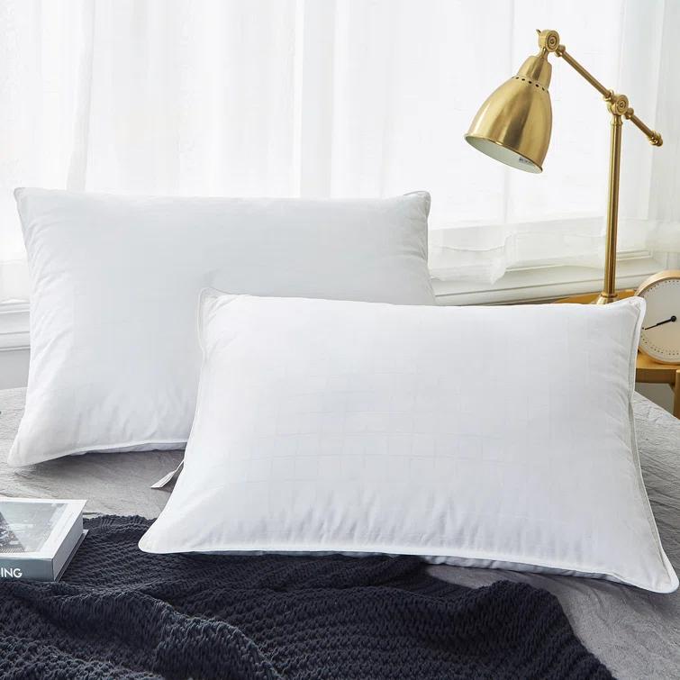 Alwyn Home Down Blend Plush Pillow (Set of 2)