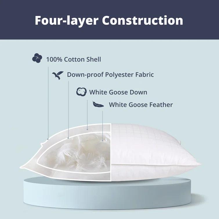 Alwyn Home Down Blend Plush Pillow (Set of 2)