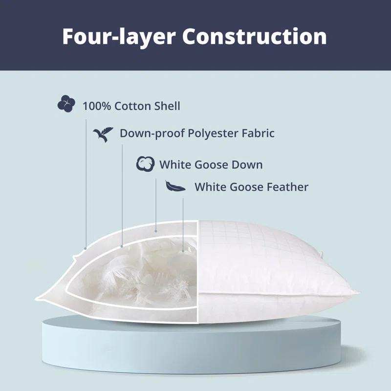 Alwyn Home Down Blend Plush Pillow (Set of 2)