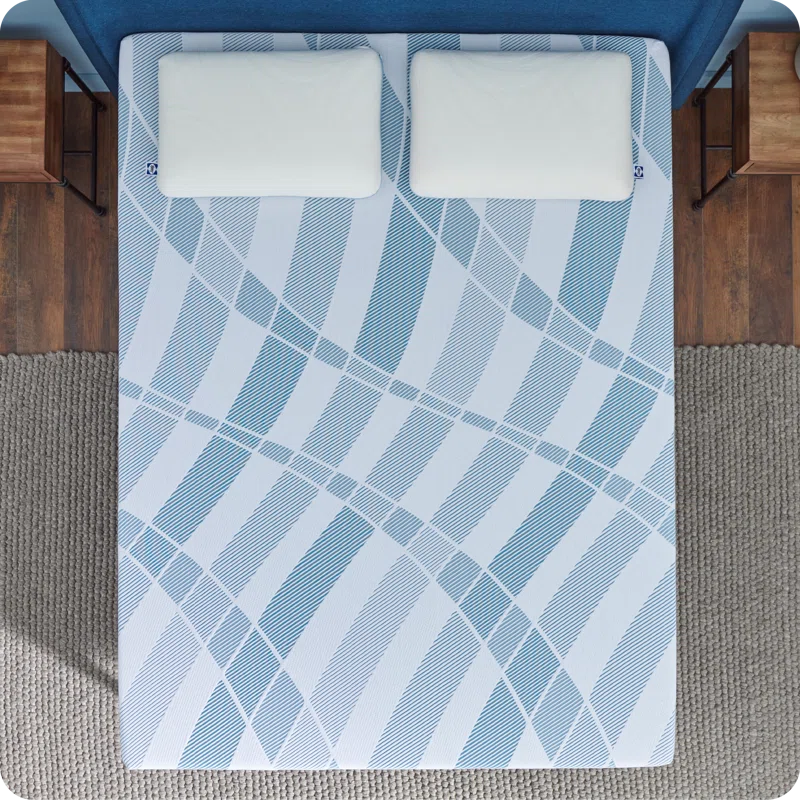Sealy Sealy Dreamlife 12” Plush Foam Mattress-in-a-Box
