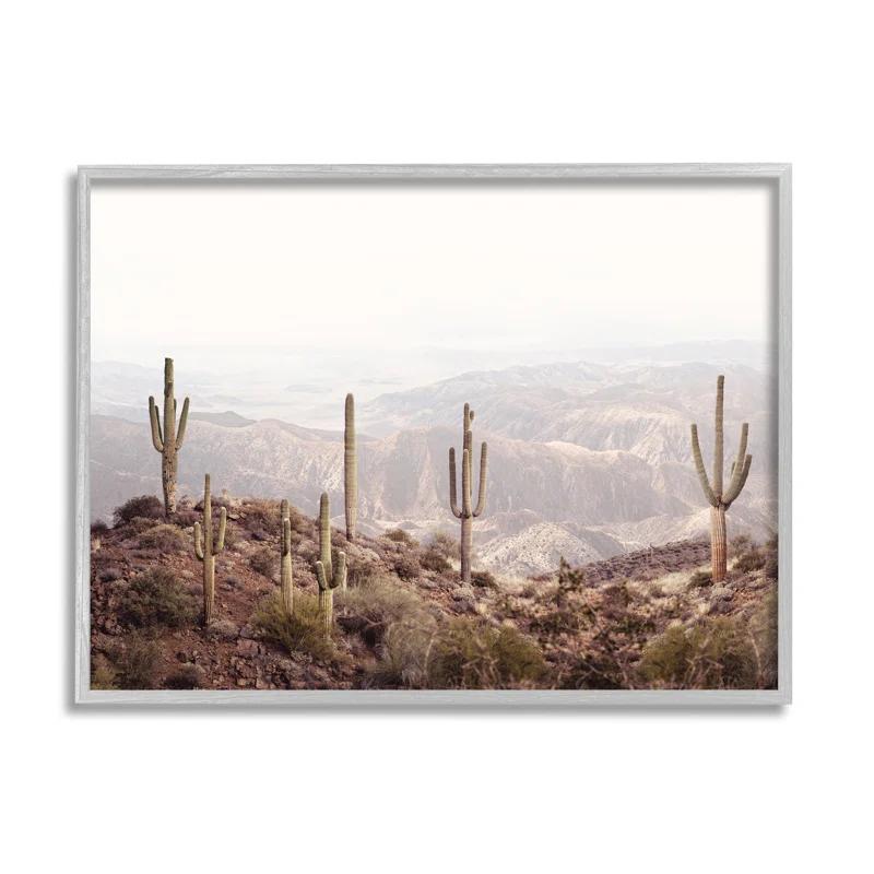 Stupell Industries " Cacti Overlooking Desert " by Sisi And Seb