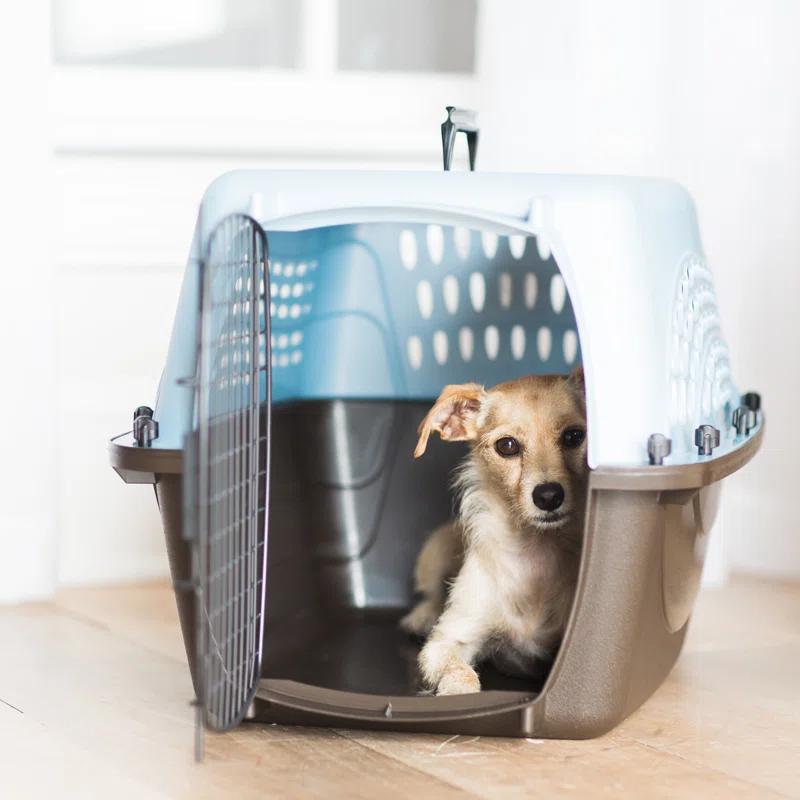 Petmate Plastic Pet Carrier with 1 Door