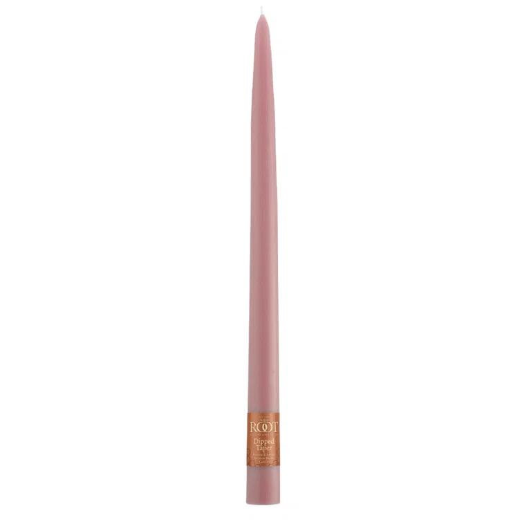 Root Candles 12 Piece Unscented Taper Candle Set & Reviews | Birch Lane
