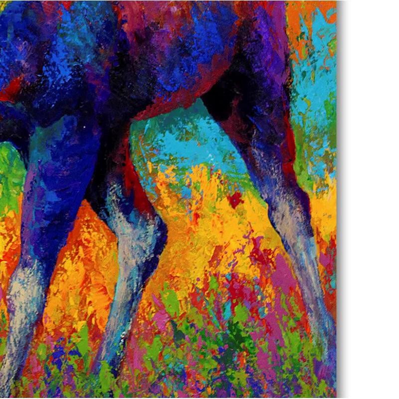 Trademark Fine Art Marion Rose " Bull Moose " by Marion Rose Painting Print