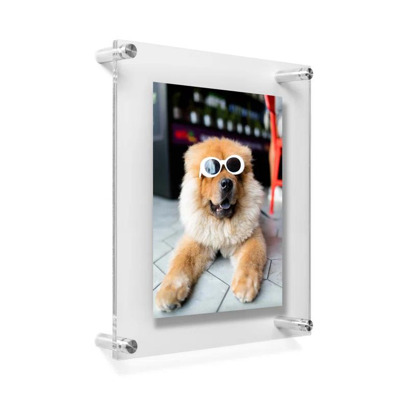 Double Panel Floating Acrylic Picture Frame