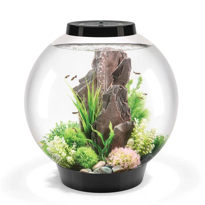 biOrb CLASSIC 60 16 Gallon Round Aquarium Tank with MCR Light